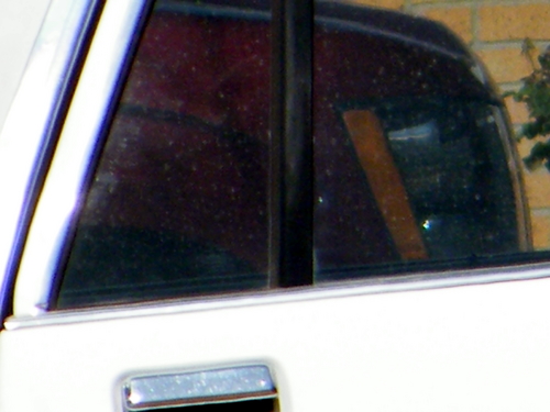 DSCF3881.JPG
