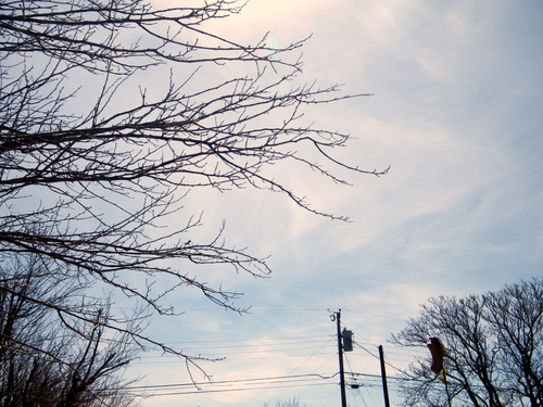 DSCF3899.JPG