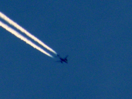 DSCF3905-1.JPG