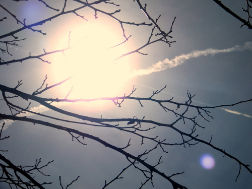 DSCF3907.JPG