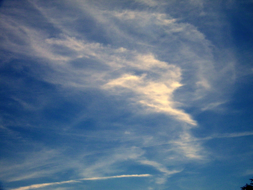 DSCF3922.JPG
