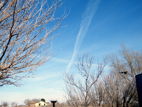 DSCF4092.JPG