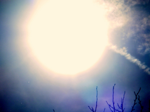 DSCF4099.JPG