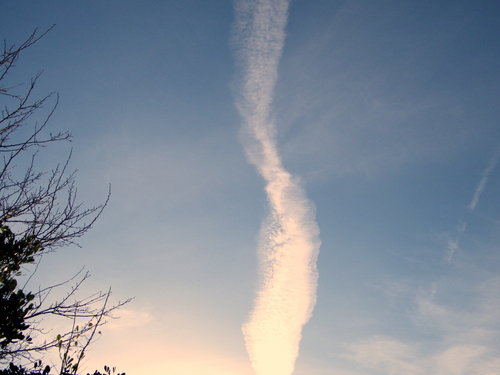 DSCF4118.JPG