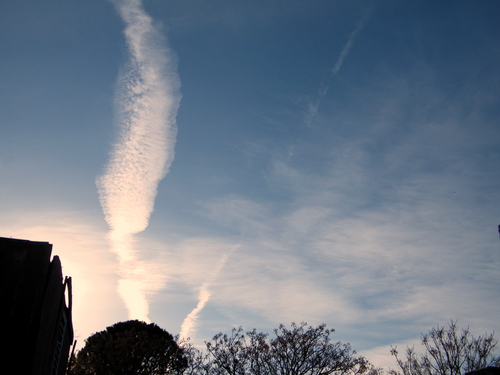 DSCF4119.JPG