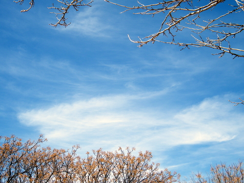 DSCF4313.JPG