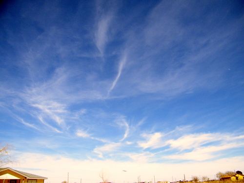 DSCF4315.JPG