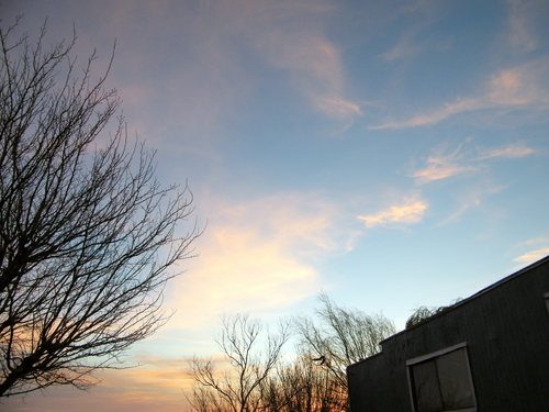 DSCF4319.JPG