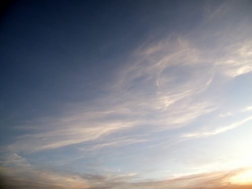 DSCF4323.JPG