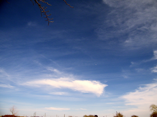 DSCF4334.JPG