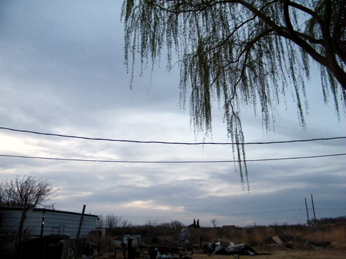 DSCF4344.JPG