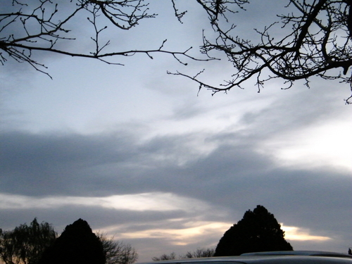 DSCF4345.JPG