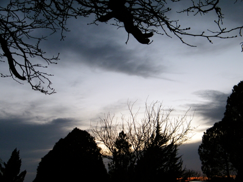DSCF4346.JPG