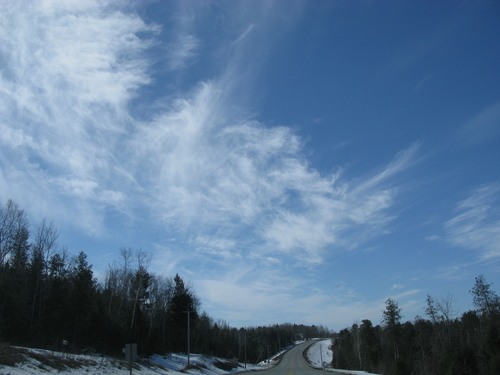 IMG_3379.JPG