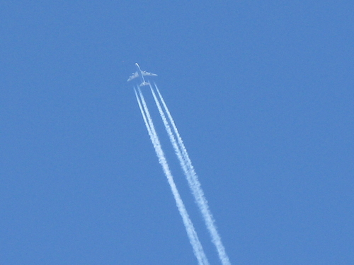 IMG_3520.JPG