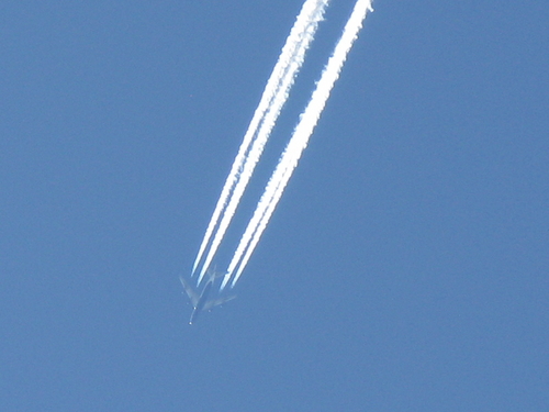 IMG_3525.JPG