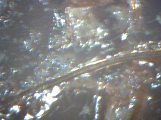 SnapShot67.jpg