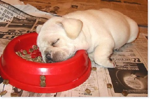 08 Asleep.jpg