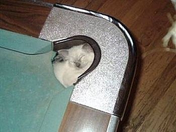 14 Pool Table.jpg
