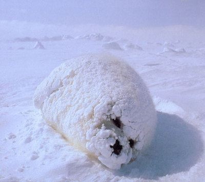 21 Cold.jpg
