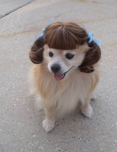 05 Wig.jpg