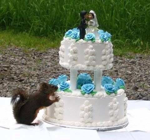 09 Wedding Cake.jpg
