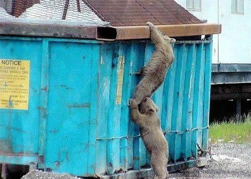 Teamwork.jpg