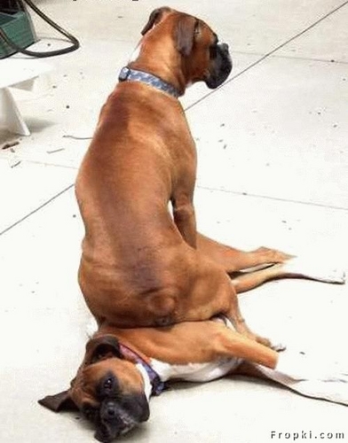 05 Sitting on my brother.jpg