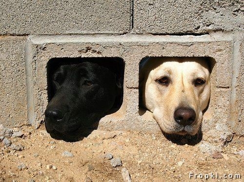06 Peep holes.jpg