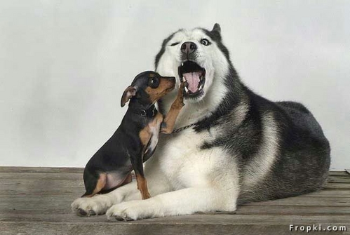 07 Big and small.jpg