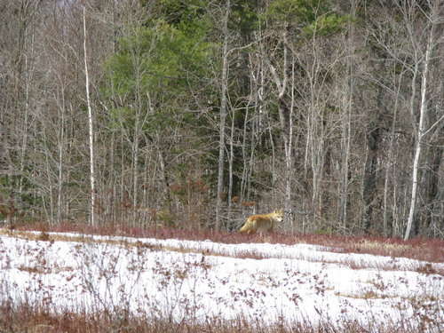 IMG_3567.JPG