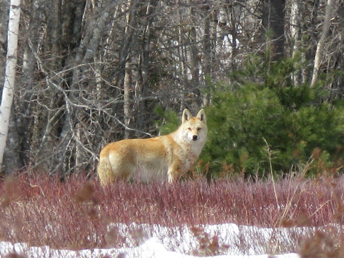 IMG_3568.JPG