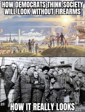 how-the-world-looks-without-firearms.jpg