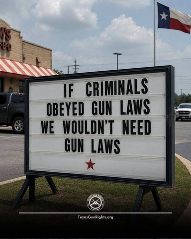 if-criminals-obeyed-gun-laws.jpg