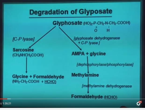 Degradation of Glyphosate.jpg