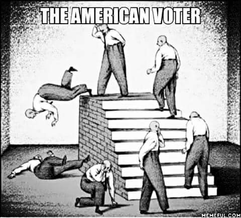 The American Voter.jpg