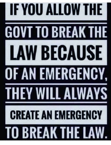 if-you-allow-the-government-to-break-the-law-because-of-an-emergency.jpeg