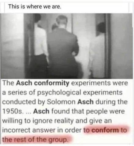 asch-conformity-experiments.jpg