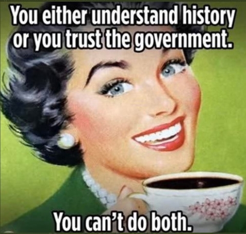 you-either-understand-history-or-you-trust-government.jpg