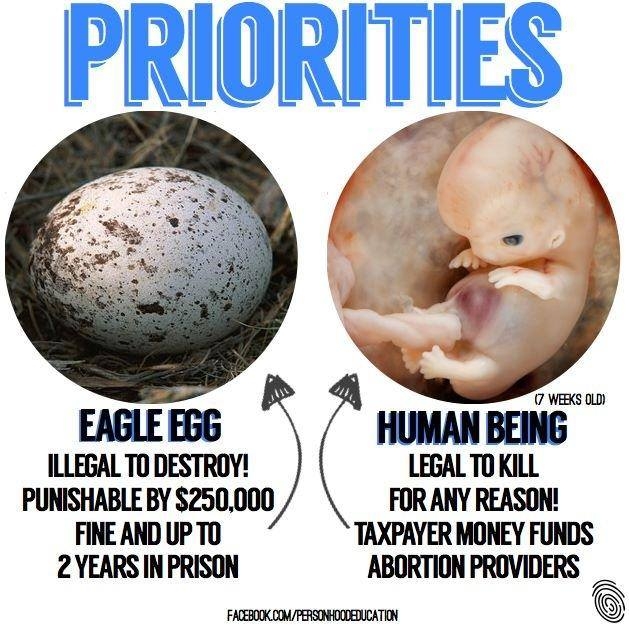 Eagles Egg.jpg
