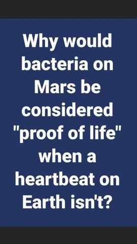 bacteria-on-mars.jpg