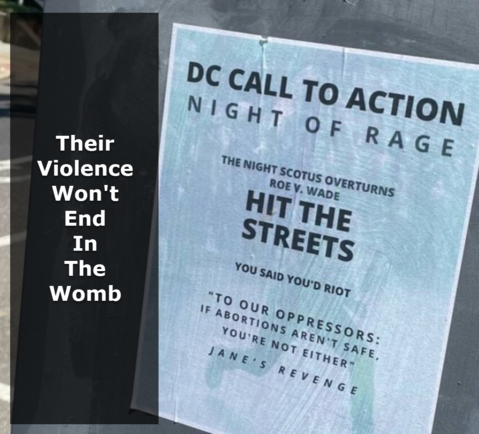 their-violence-won't-end-in-the-womb.png