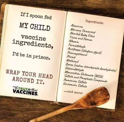 if-i-spoonfed-my-child-vaccine-ingredients.jpg