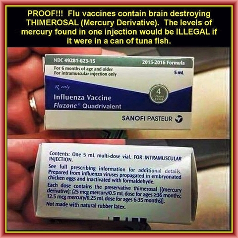 flu-shot-insert-shows-thimerosal.jpg