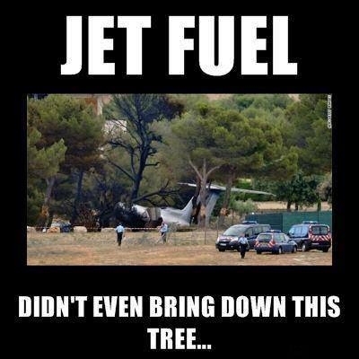 Didnt bring down this tree.jpg