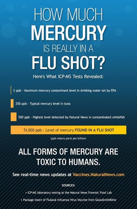 How Much Mercury is In a Flu Shot.jpg