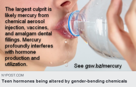 mercury-interferes-with-hormone-production.png