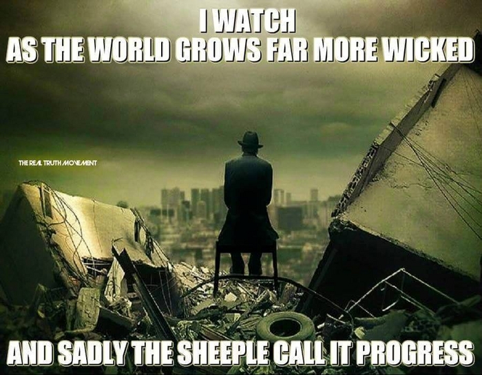 Sheeple Call It Progress.jpg