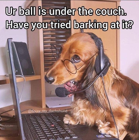 bark-at-the-ball.jpg