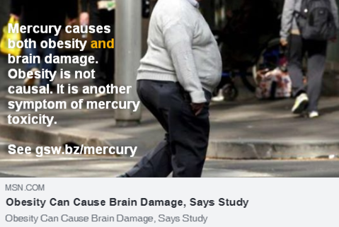 obesity-causes-brain-damage.png